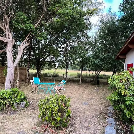 Résidence Lachanau - 133 - Chaleureux à 600 Mètres Du D'hourtin Idéal Pour 4 Personnes Mae-7591 Chalet *