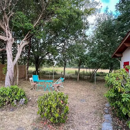 Lachanau - 133 - Chaleureux A 600 Metres Du D'hourtin Ideal Pour 4 Personnes Mae-7591